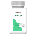 Catnip